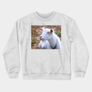 Old Bearded Goat Portrait Crewneck Sweatshirt